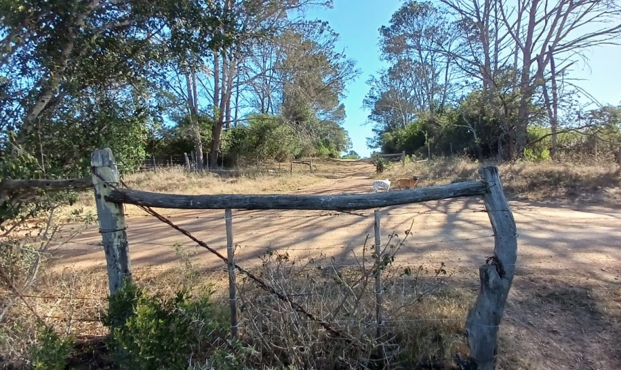 Commercial Property for Sale in Bathurst Rural Eastern Cape